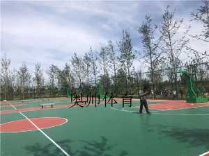 山東濟(jì)寧籃球架安裝現(xiàn)場